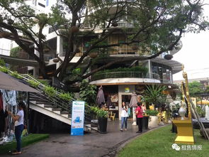 7月29日,在上海參加曼谷時(shí)尚先鋒樓盤(pán)c ekkamai說(shuō)明會(huì) 總價(jià)100萬(wàn)元起,深受上?？蛻?hù)青睞的曼谷公寓