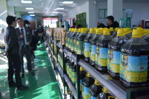 百年榮光 生態(tài)洋州 2021全國重點(diǎn)網(wǎng)媒 網(wǎng)絡(luò)名人采風(fēng)團(tuán)走進(jìn)洋縣