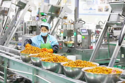 政策呵護(hù)預(yù)制菜產(chǎn)業(yè)茁壯成長(zhǎng) 助推三產(chǎn)融合更好實(shí)現(xiàn)