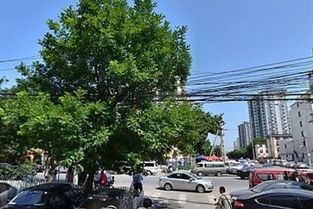 上海森茂金屬制品廠