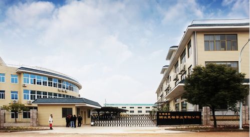 茶的情懷,筑夢他的第二故鄉(xiāng) 記新新昌茶人黃誠