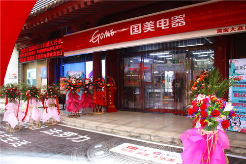 國美電器 打造大荔人民全新生活品質(zhì)